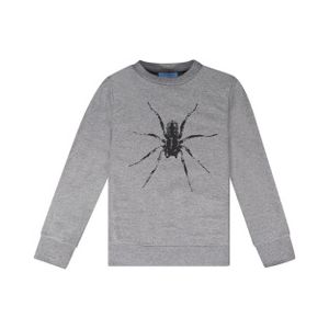 Lanvin Boys Grey Spider Sweatshirt