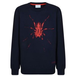 Lanvin Boys Navy Spider Sweatshirt