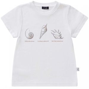 Il Gufo Boys White Cotton Shell Print T-Shirt