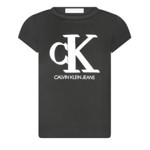 Calvin Klein Grey & Gold Logo Black Slim Fit T-Shirt