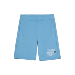 Tommy Hilfiger Boys Sky Blue Sweatshorts With Printed Logo