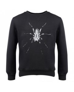 Lanvin Boys Black Grey Spider Sweatshirt