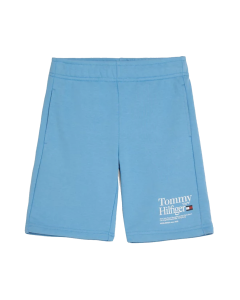 Tommy Hilfiger Boys Sky Blue Sweatshorts With Printed Logo