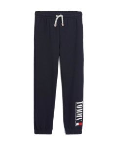 Tommy Hilfiger Boys Navy Blue Graphic Logo Joggers